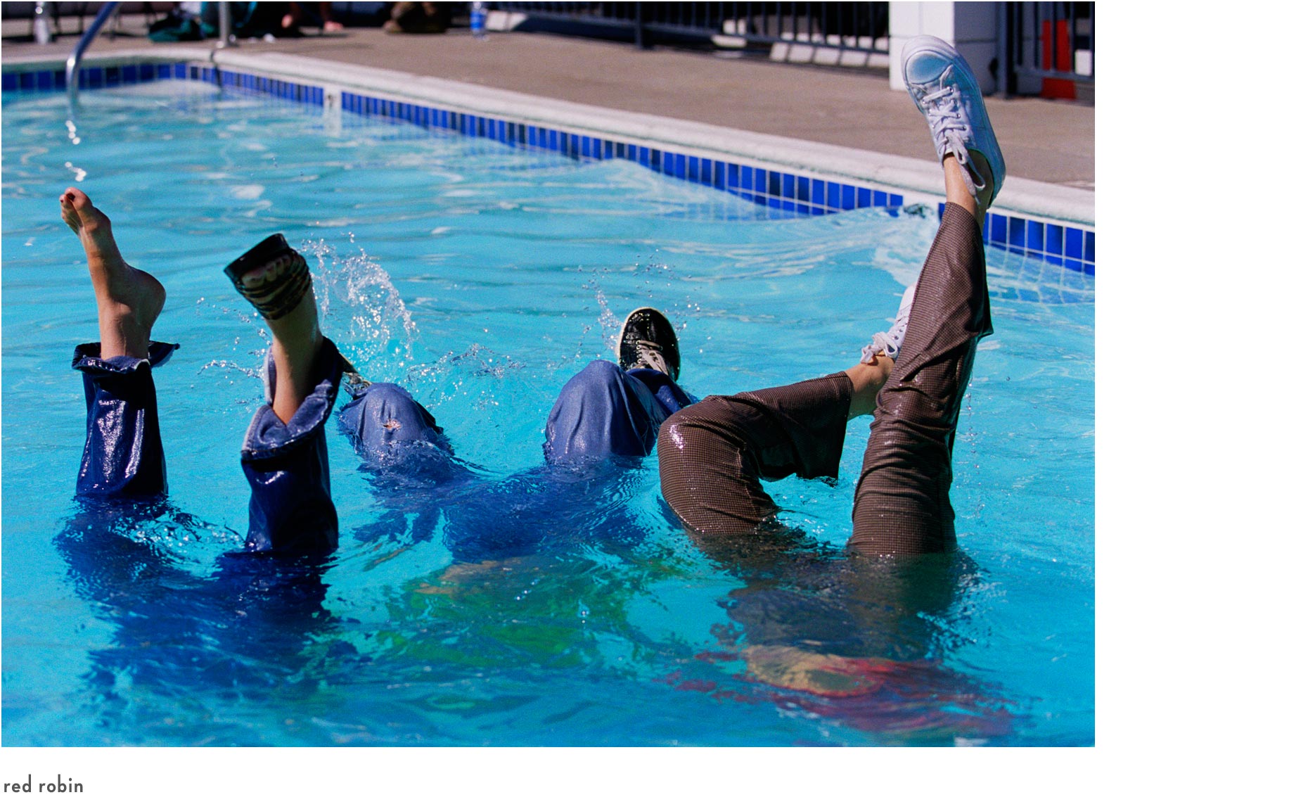 red_robin_pool1